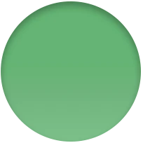 Correa deportiva verde brillante (45 mm) - Talla única - Image 4
