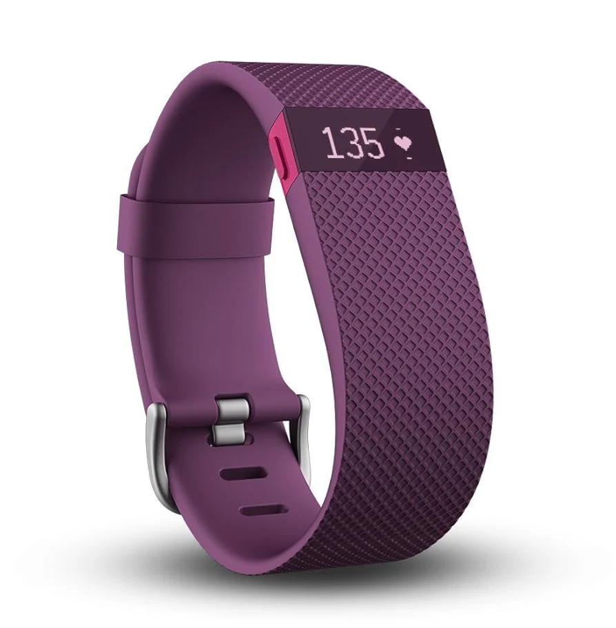CHARGE HR PLUM LARGE