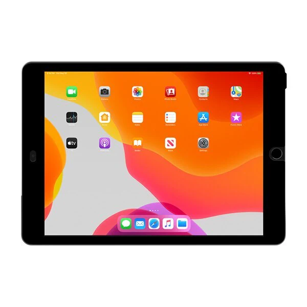 Protector de Pantalla Privacy BELKIN Para iPad 10.2 - Removible - Image 3